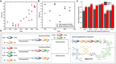 Single-component organic solar cells—Perspective on the importance of chemical precision in conjugated block copolymers